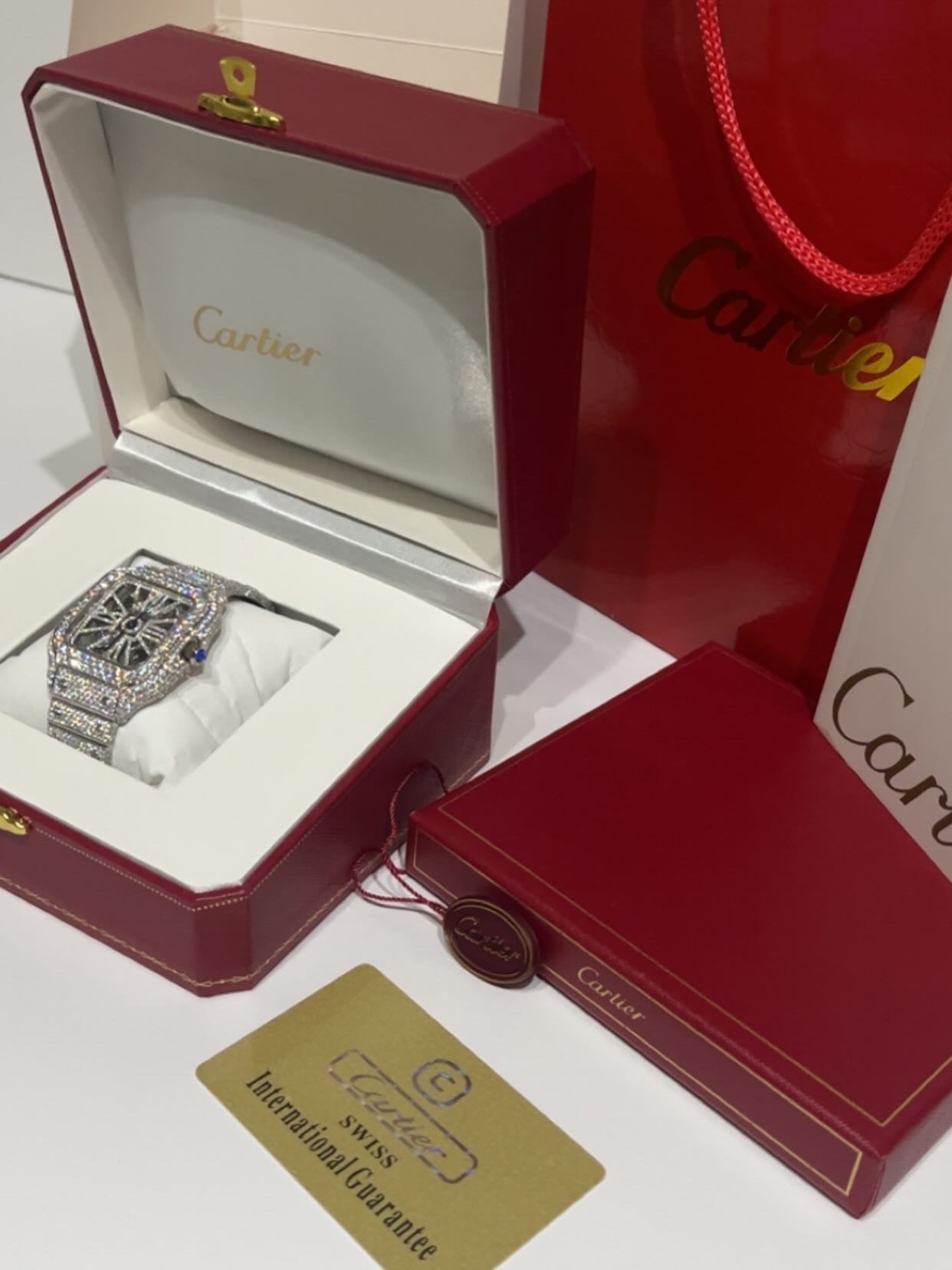 Fully Iced Moissanite Carti Skeleton - Image 2