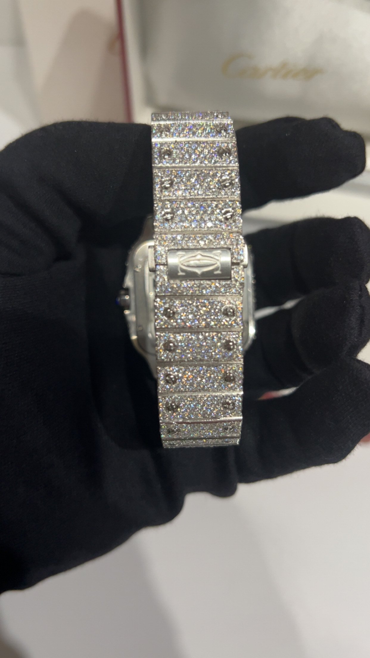 Fully Iced Moissanite Carti Skeleton - Image 6