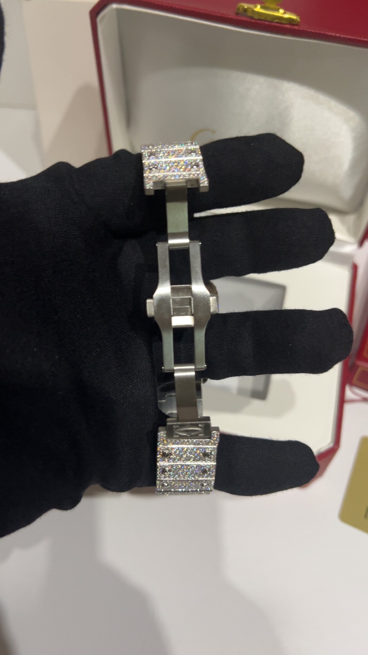 Fully Iced Moissanite Carti Skeleton - Image 5